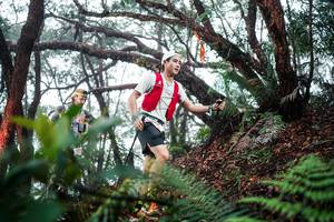 BIB: 
                            <button type="button" onclick="openModal(26295935)" class="btn btn-primary btn-sm float-right btn-popup" data-toggle="modal" data-target=".modal-high-quality">
                        <i class="fas fa-shopping-cart"></i> Add to Cart
                    </button>
                                            <button type="button" onclick="isThisMe(26295935, true)" class="btn btn-success btn-sm float-right btn-popup btn-isme hidden" data-toggle="tooltip" data-placement="bottom" title="นี่คือรูปของคุณใช่ไหม คลิกที่นี่เพื่อเอาเข้าอัลบั้ม">
                        <i class="fas fa-plus"></i> Add to album
                    </button>
                    <button type="button" onclick="isThisMe(26295935, false)" class="btn btn-warning btn-sm float-right btn-popup btn-isnotme hidden">
                        <i class="fas fa-ban"></i> Remove from album
                    </button>